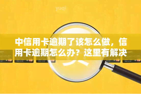 中信用卡逾期了该怎么做，信用卡逾期怎么办？这里有解决方法