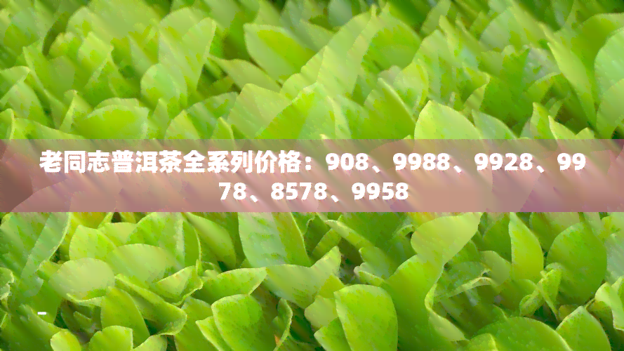 老同志普洱茶全系列价格：908、9988、9928、9978、8578、9958