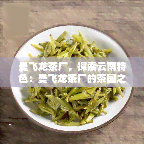 曼飞龙茶厂，探索云南特色：曼飞龙茶厂的茶园之旅