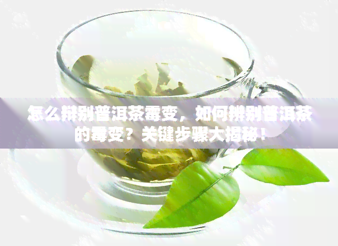 怎么辩别普洱茶霉变，如何辨别普洱茶的霉变？关键步骤大揭秘！