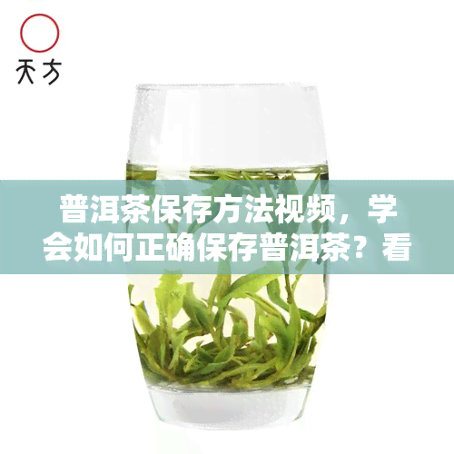 普洱茶保存方法视频，学会如何正确保存普洱茶？看这里！