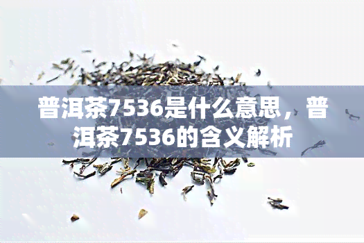 普洱茶7536是什么意思，普洱茶7536的含义解析