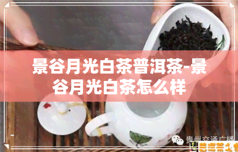 景谷月光白茶普洱茶-景谷月光白茶怎么样