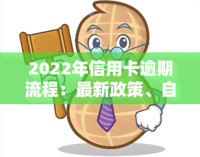 2022年信用卡逾期流程：最新政策、自救办法与逾期后果详解