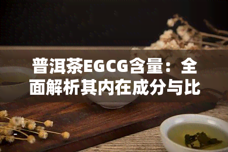 普洱茶EGCG含量：全面解析其内在成分与比例