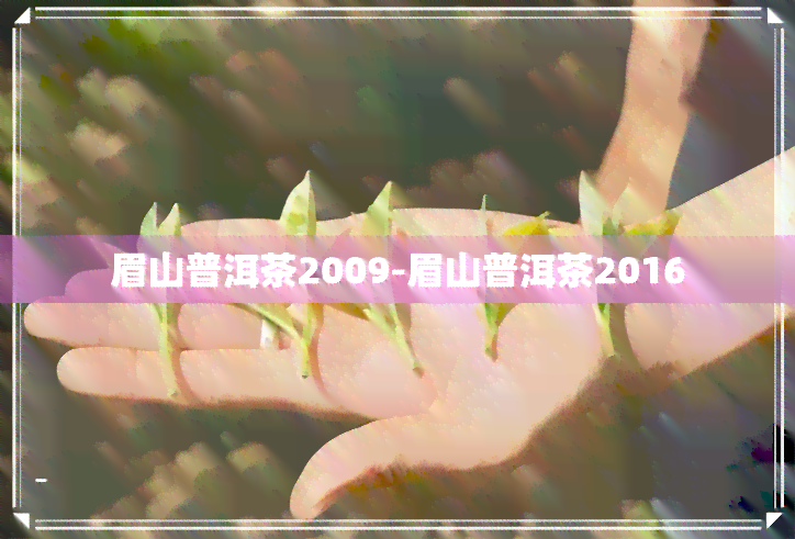 眉山普洱茶2009-眉山普洱茶2016