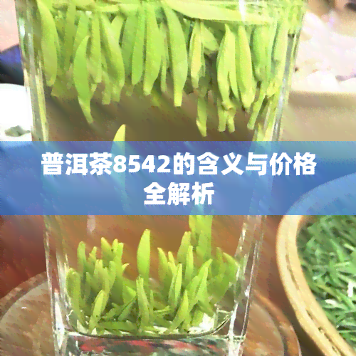 普洱茶8542的含义与价格全解析