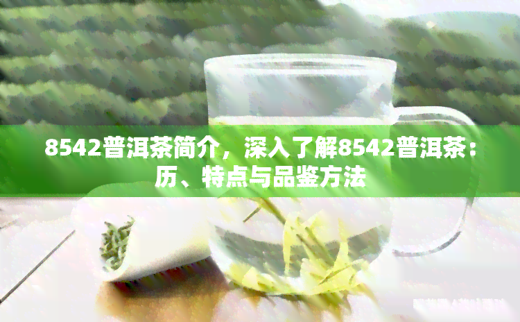 8542普洱茶简介，深入了解8542普洱茶：历、特点与品鉴方法