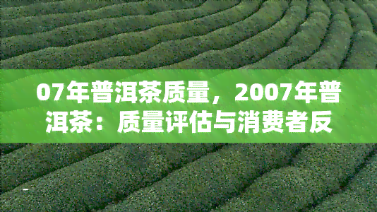 07年普洱茶质量，2007年普洱茶：质量评估与消费者反馈