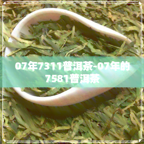 07年7311普洱茶-07年的7581普洱茶