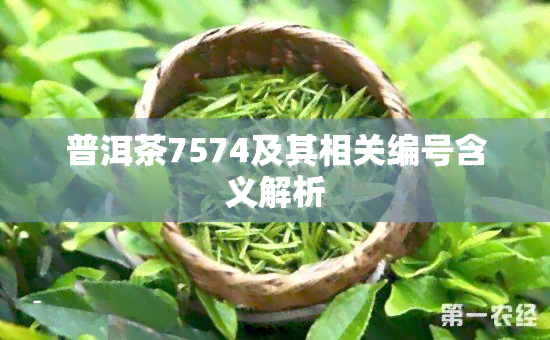 普洱茶7574及其相关编号含义解析