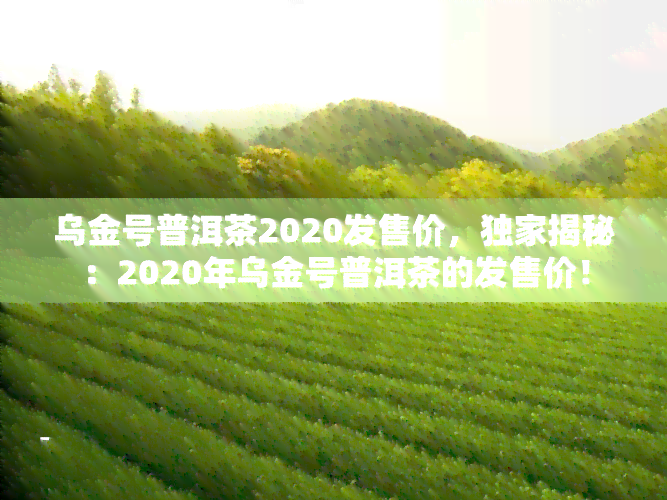 乌金号普洱茶2020发售价，独家揭秘：2020年乌金号普洱茶的发售价！