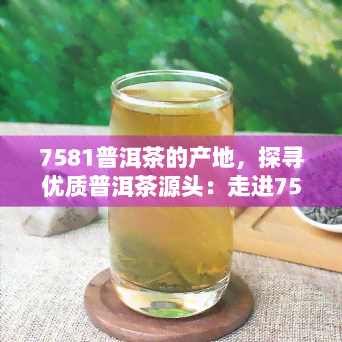 7581普洱茶的产地，探寻优质普洱茶源头：走进7581普洱茶的产地