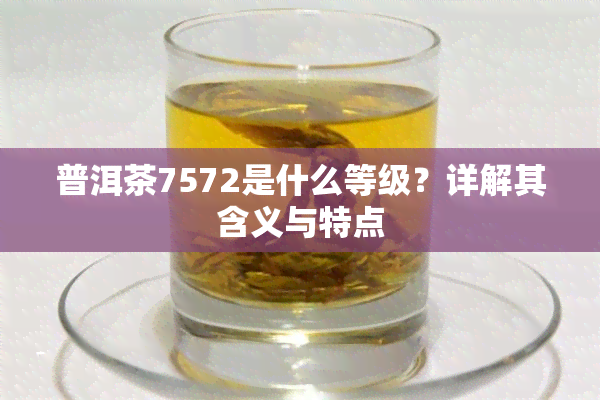 普洱茶7572是什么等级？详解其含义与特点