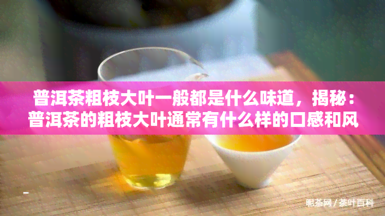 普洱茶粗枝大叶一般都是什么味道，揭秘：普洱茶的粗枝大叶通常有什么样的口感和风味？