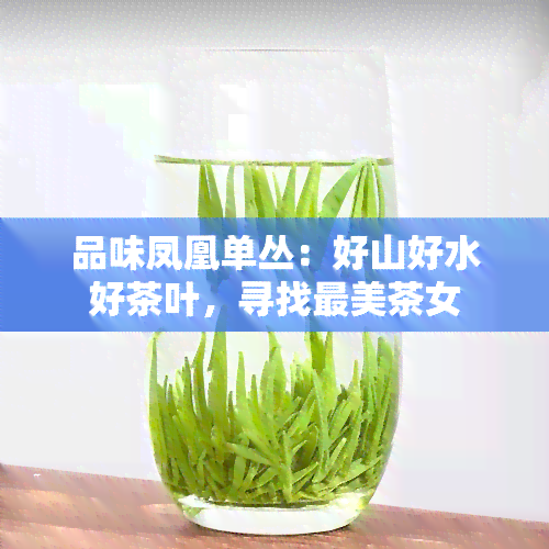 品味凤凰单丛：好山好水好茶叶，寻找最美茶女