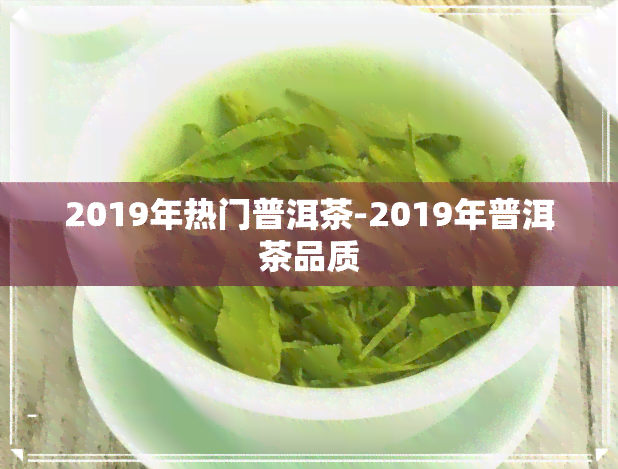 2019年热门普洱茶-2019年普洱茶品质