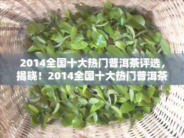 2014全国十大热门普洱茶评选，揭晓！2014全国十大热门普洱茶评选结果出炉