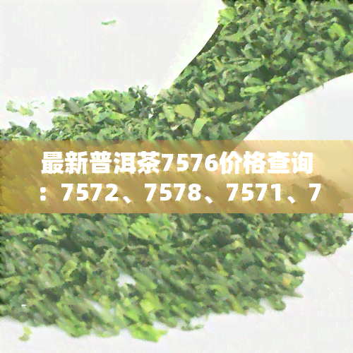 最新普洱茶7576价格查询：7572、7578、7571、7579等型号全面比较