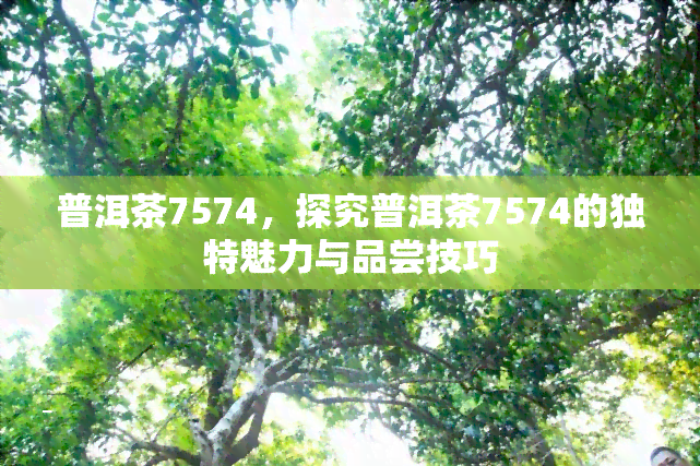 普洱茶7574，探究普洱茶7574的独特魅力与品尝技巧