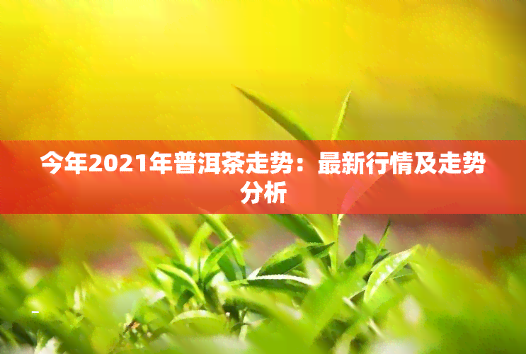 今年2021年普洱茶走势：最新行情及走势分析