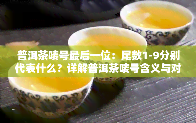 普洱茶唛号最后一位：尾数1-9分别代表什么？详解普洱茶唛号含义与对应茶厂