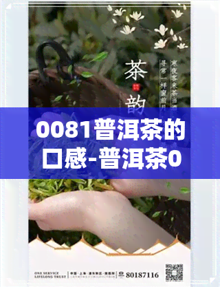 0081普洱茶的口感-普洱茶0081怎么样