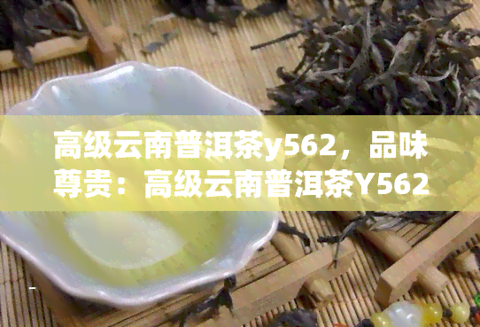 高级云南普洱茶y562，品味尊贵：高级云南普洱茶Y562，带你领略不一样的茶香体验