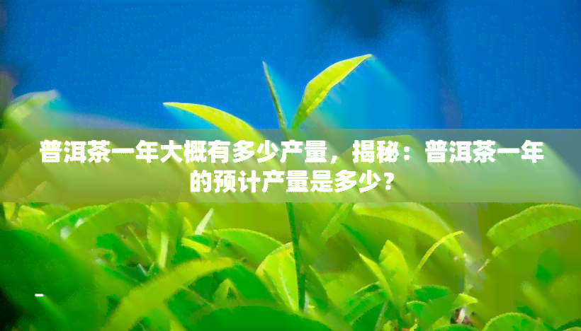 普洱茶一年大概有多少产量，揭秘：普洱茶一年的预计产量是多少？