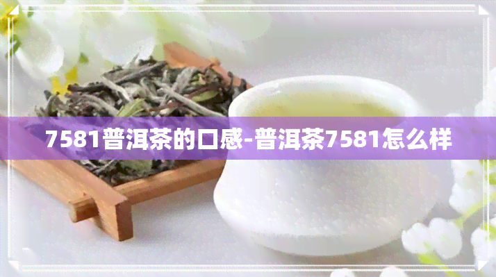 7581普洱茶的口感-普洱茶7581怎么样