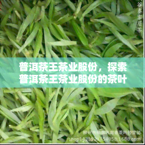 普洱茶王茶业股份，探索普洱茶王茶业股份的茶叶生产与销售