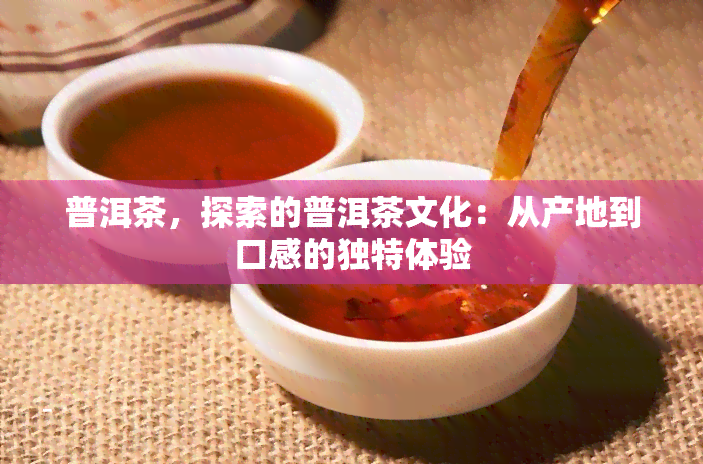 普洱茶，探索的普洱茶文化：从产地到口感的独特体验