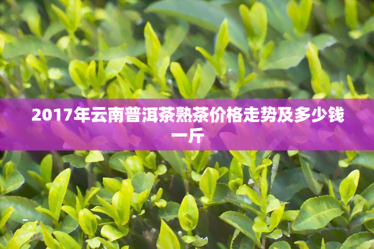 2017年云南普洱茶熟茶价格走势及多少钱一斤