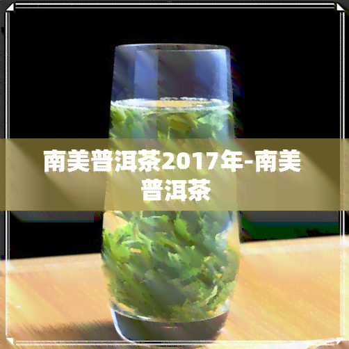 南美普洱茶2017年-南美 普洱茶