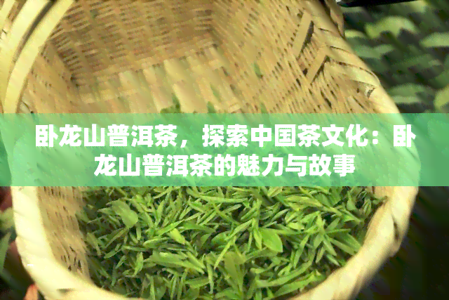 卧龙山普洱茶，探索中国茶文化：卧龙山普洱茶的魅力与故事