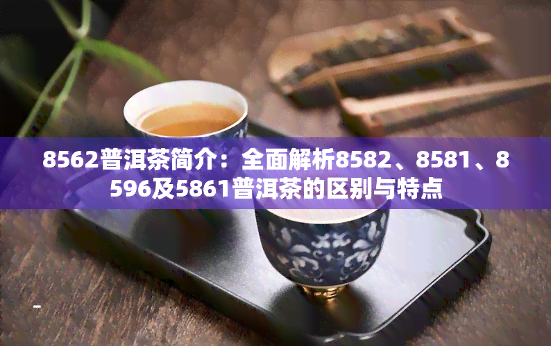 8562普洱茶简介：全面解析8582、8581、8596及5861普洱茶的区别与特点