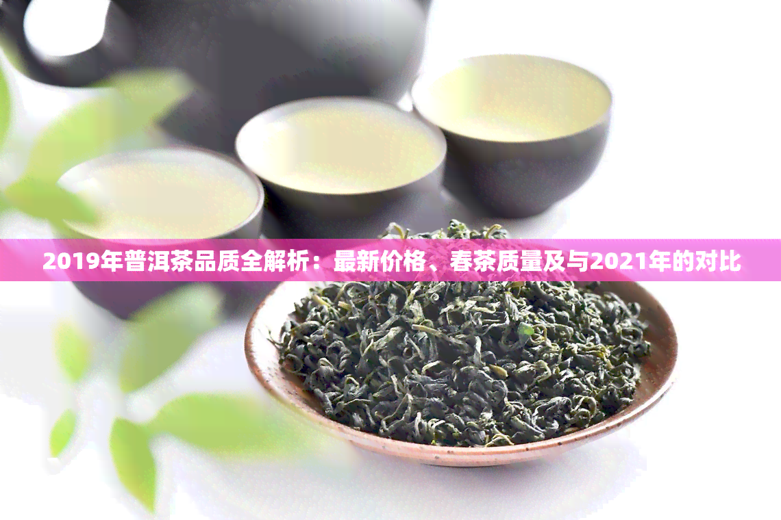 2019年普洱茶品质全解析：最新价格、春茶质量及与2021年的对比