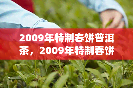 2009年特制春饼普洱茶，2009年特制春饼普洱茶：品味历与传统的绝妙结合