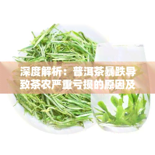 深度解析：普洱茶暴跌导致茶农严重亏损的原因及影响