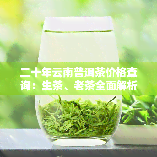 二十年云南普洱茶价格查询：生茶、老茶全面解析