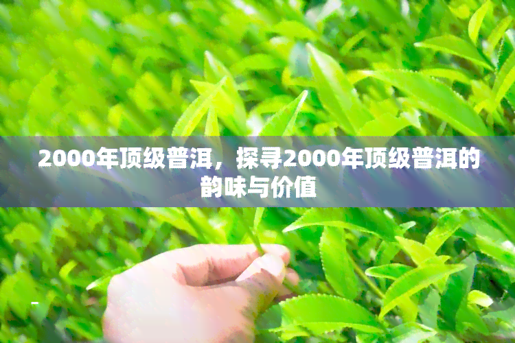 2000年顶级普洱，探寻2000年顶级普洱的韵味与价值