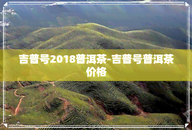 吉普号2018普洱茶-吉普号普洱茶价格