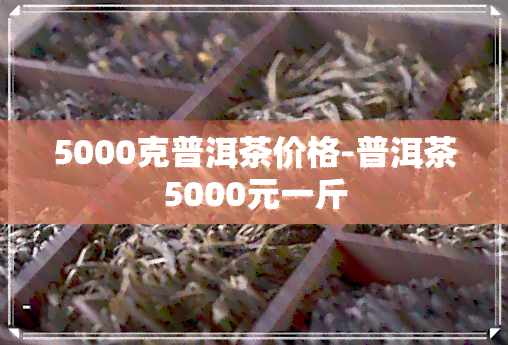 5000克普洱茶价格-普洱茶5000元一斤