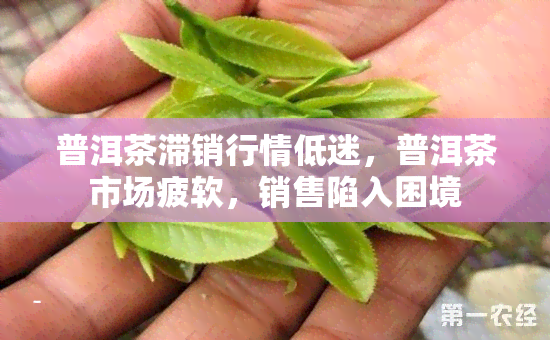 普洱茶滞销行情低迷，普洱茶市场疲软，销售陷入困境