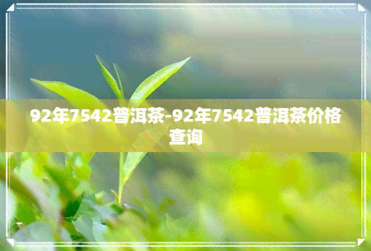 92年7542普洱茶-92年7542普洱茶价格查询