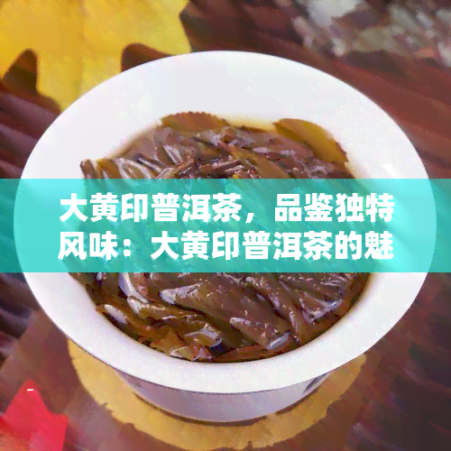 大黄印普洱茶，品鉴独特风味：大黄印普洱茶的魅力探索