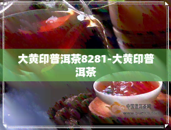 大黄印普洱茶8281-大黄印普洱茶