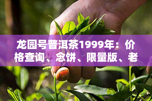 龙园号普洱茶1999年：价格查询、念饼、限量版、老树茶熟茶一应俱全！