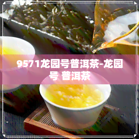 9571龙园号普洱茶-龙园号 普洱茶