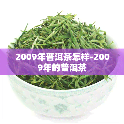 2009年普洱茶怎样-2009年的普洱茶